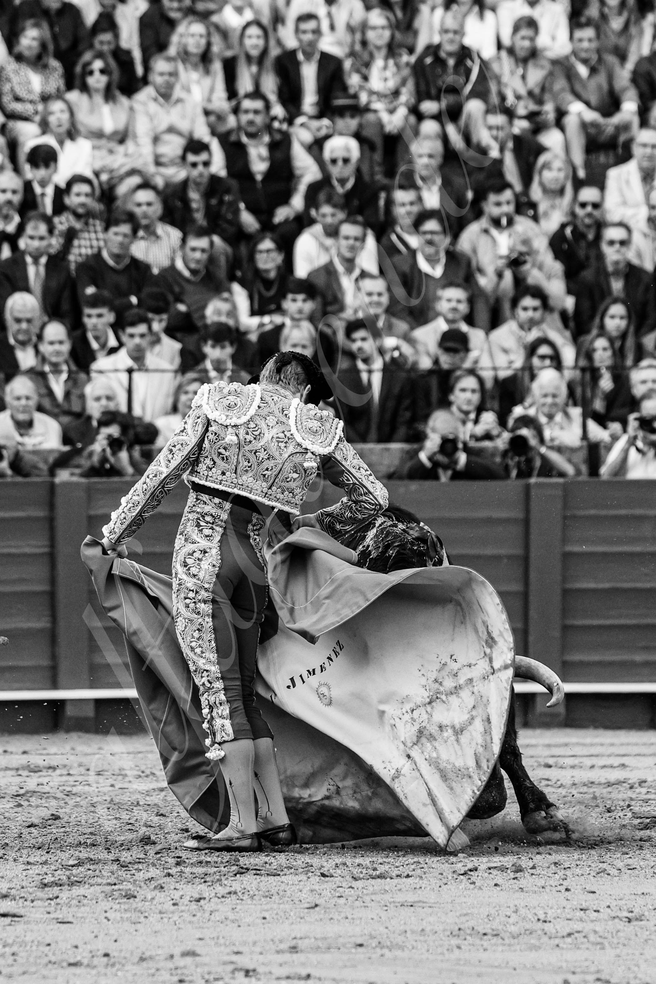 20250502 sevilla 011 fd