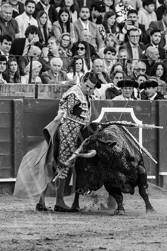 20250502 sevilla 010 fd