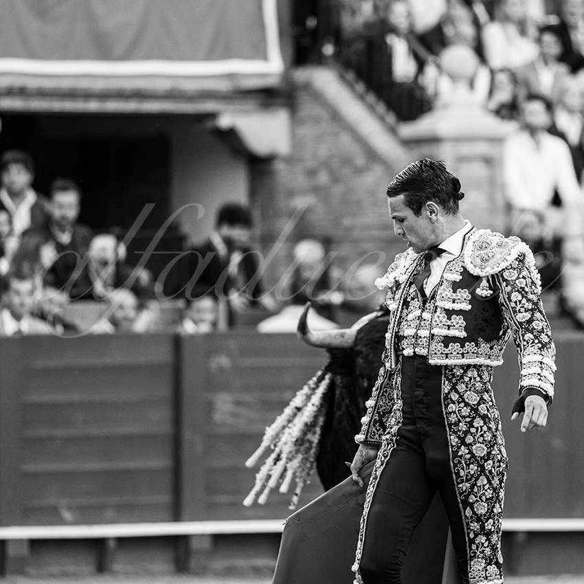 20250502 sevilla 009 fd