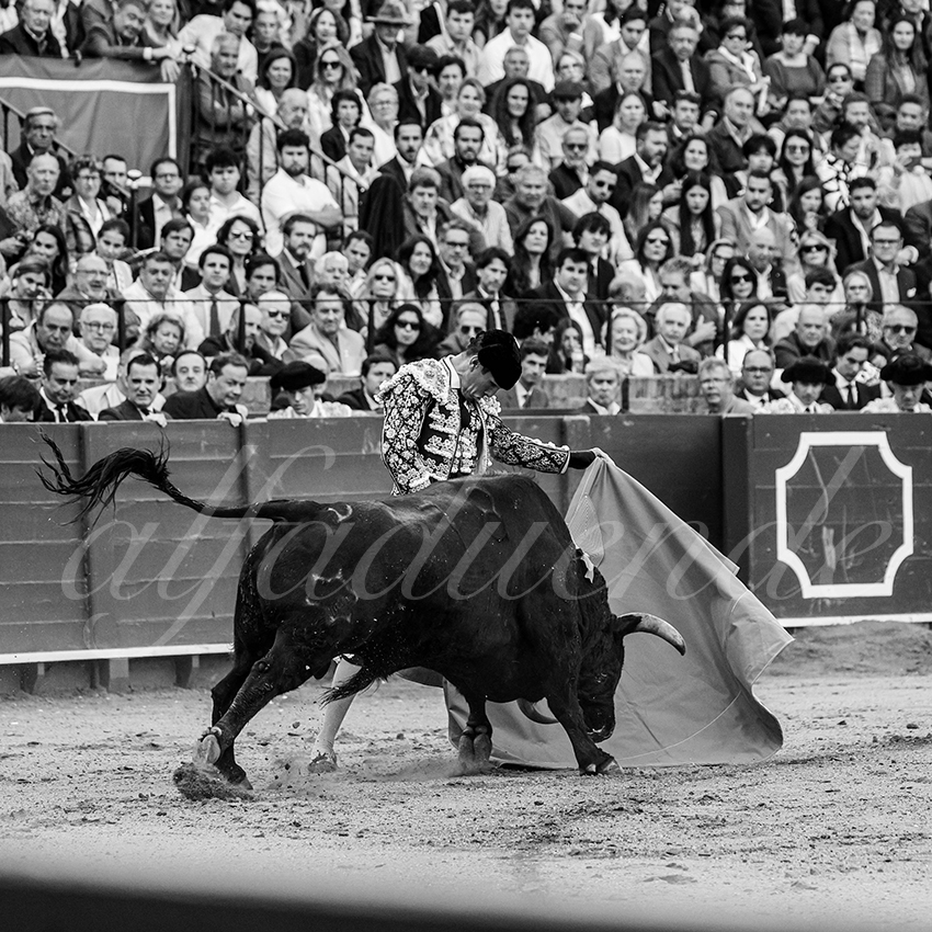 20250502 sevilla 008 fd