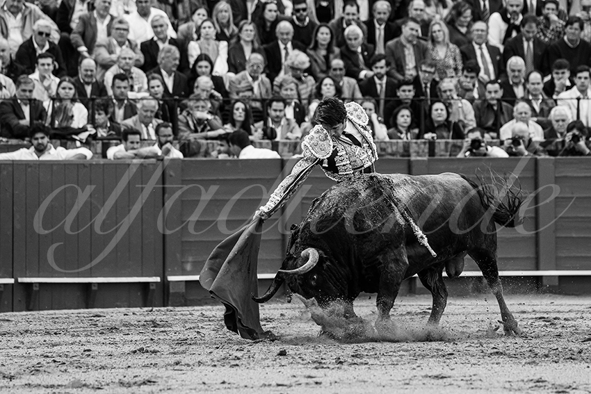 20250502 sevilla 006 fd