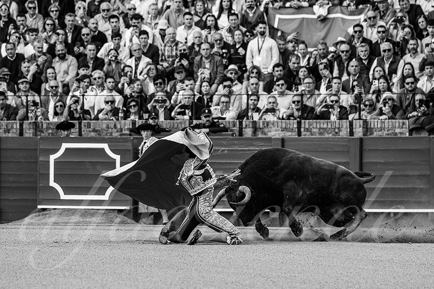 20250502 sevilla 004 fd