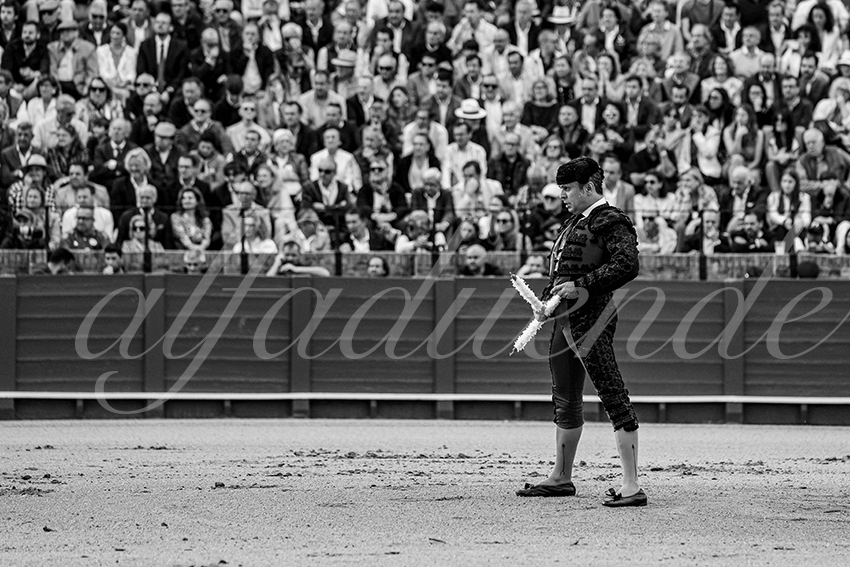 20250502 sevilla cuadrillas 002 copie