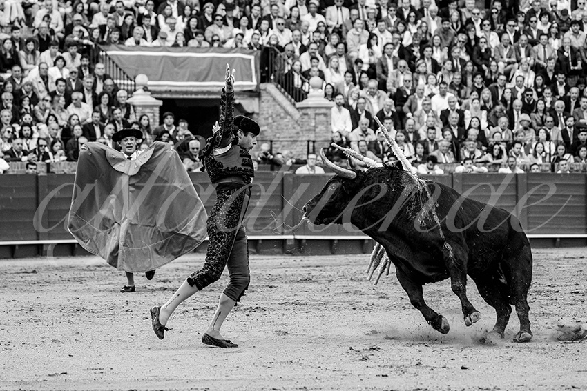 20250502 sevilla cuadrillas 001 copie