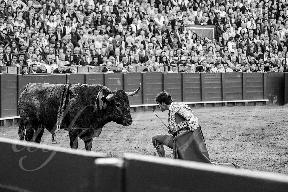 20250503 sevilla 037 fd