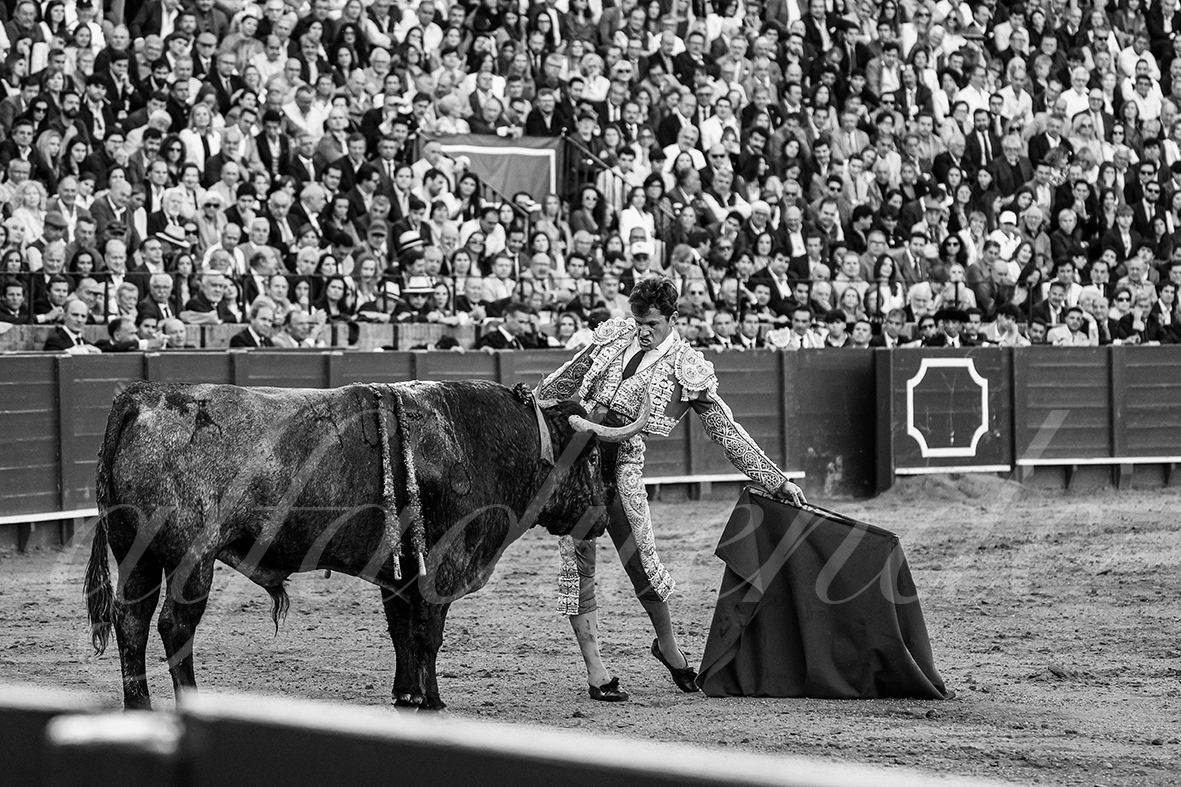 20250503 sevilla 036 fd