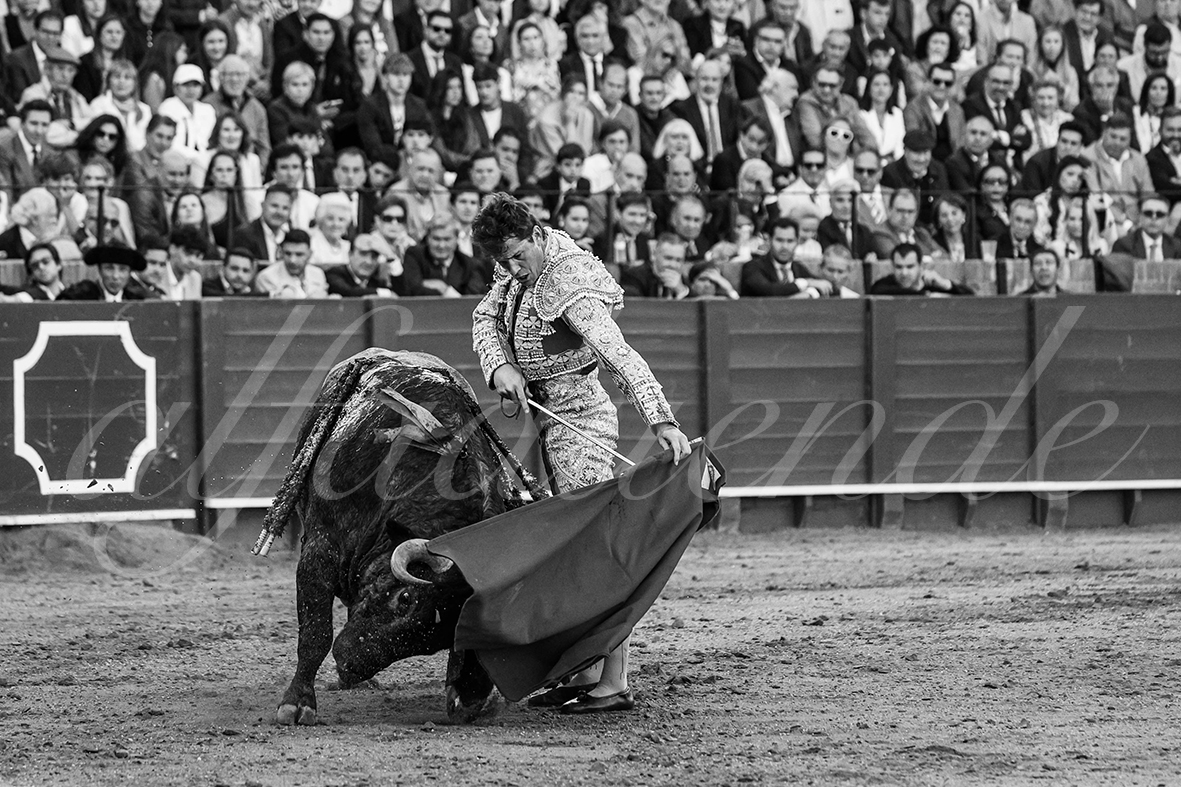 20250503 sevilla 035 fd