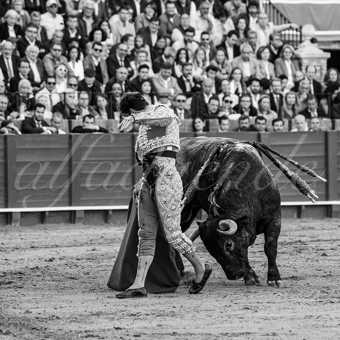 20250503 sevilla 034 fd