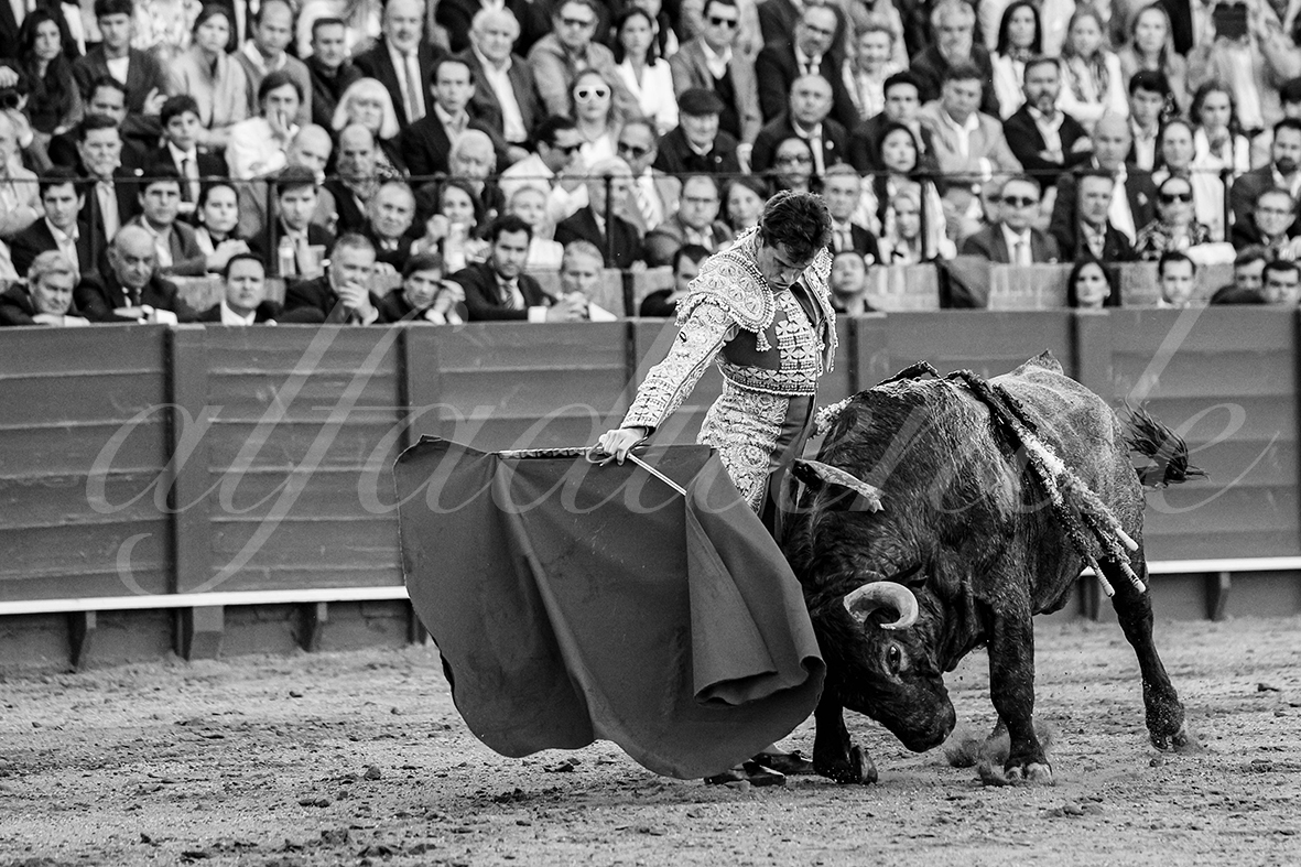 20250503 sevilla 033 fd