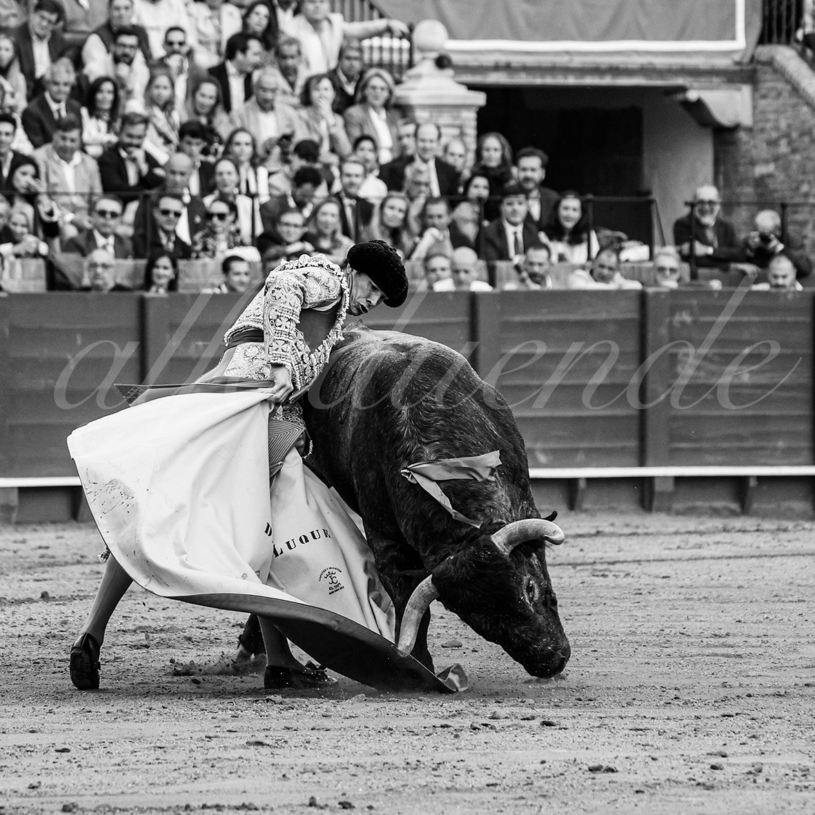 20250503 sevilla 032 fd