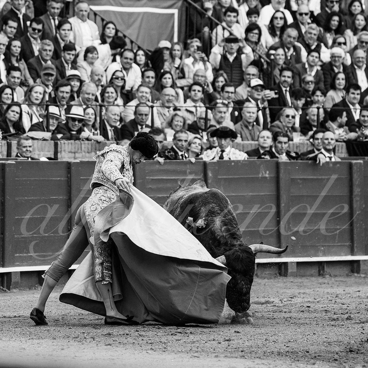 20250503 sevilla 031 fd