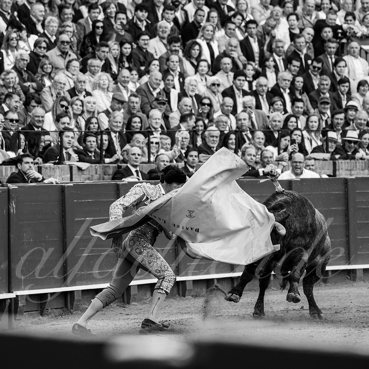 20250503 sevilla 030 fd