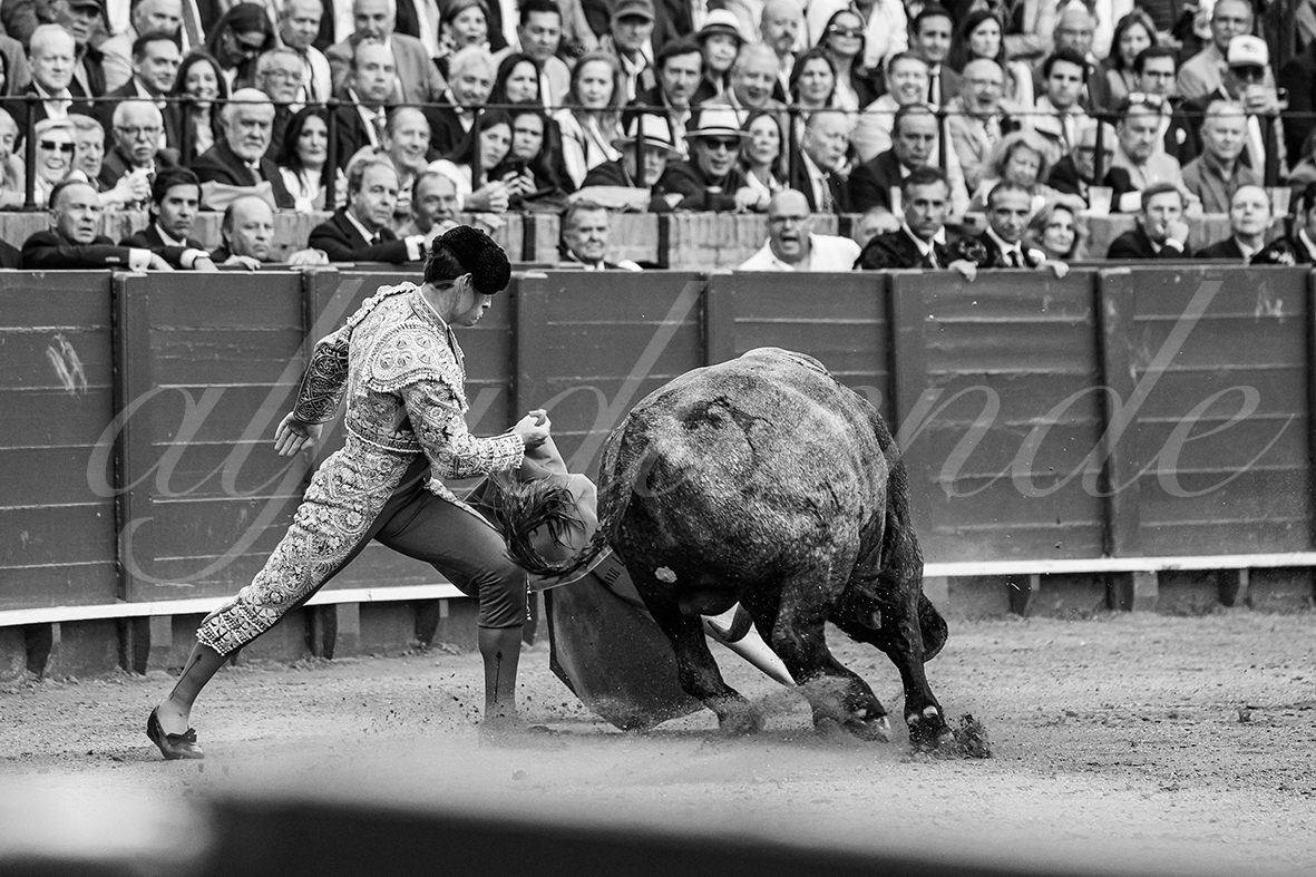 20250503 sevilla 029 fd