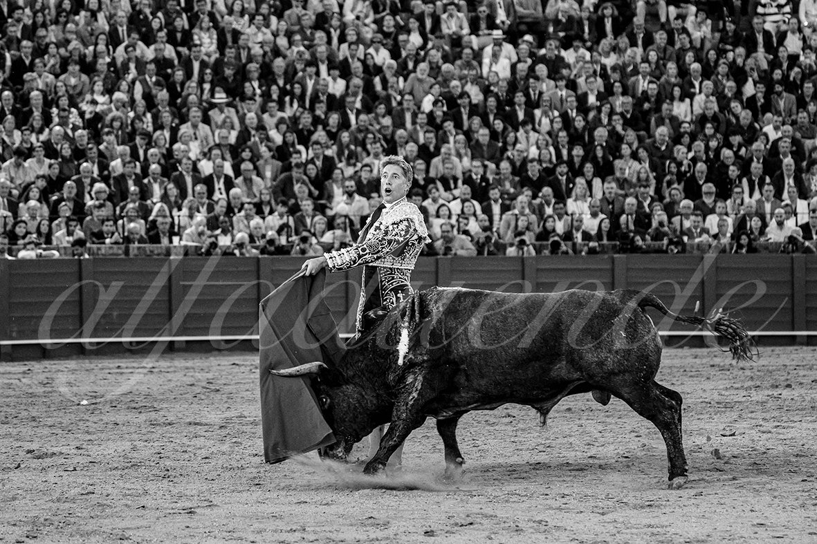 20250503 sevilla 026 fd