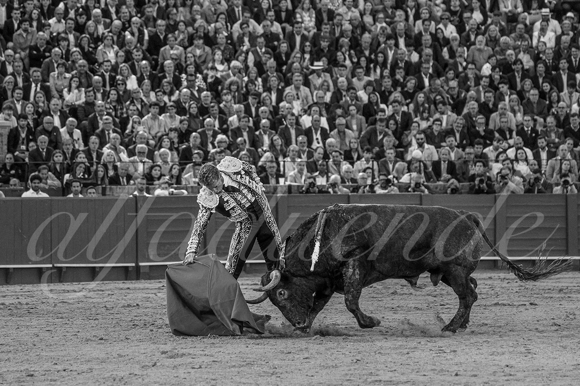 20250503 sevilla 025 fd