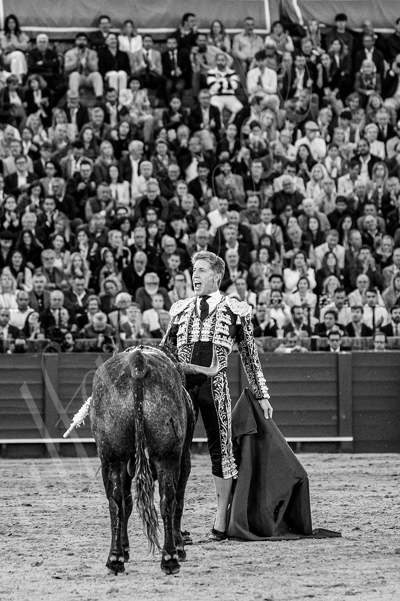 20250503 sevilla 024 fd