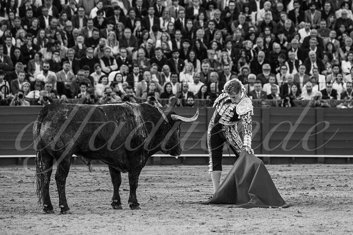 20250503 sevilla 023 fd