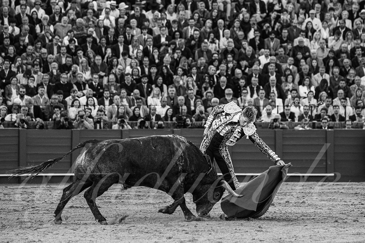 20250503 sevilla 022 fd