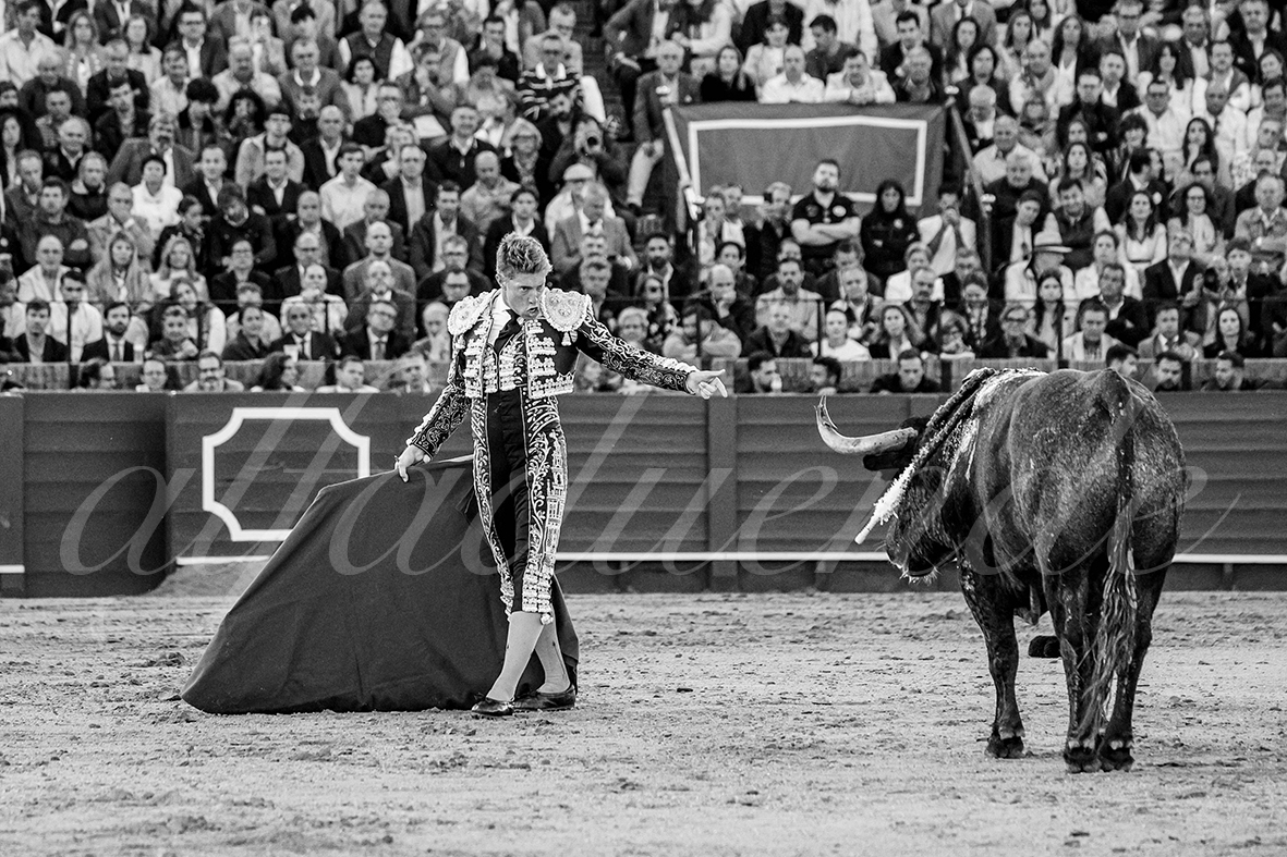 20250503 sevilla 021 fd