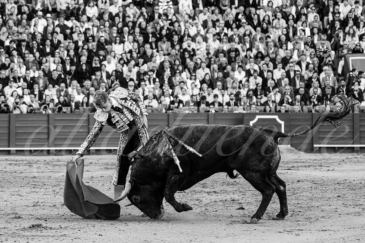 20250503 sevilla 011 fd