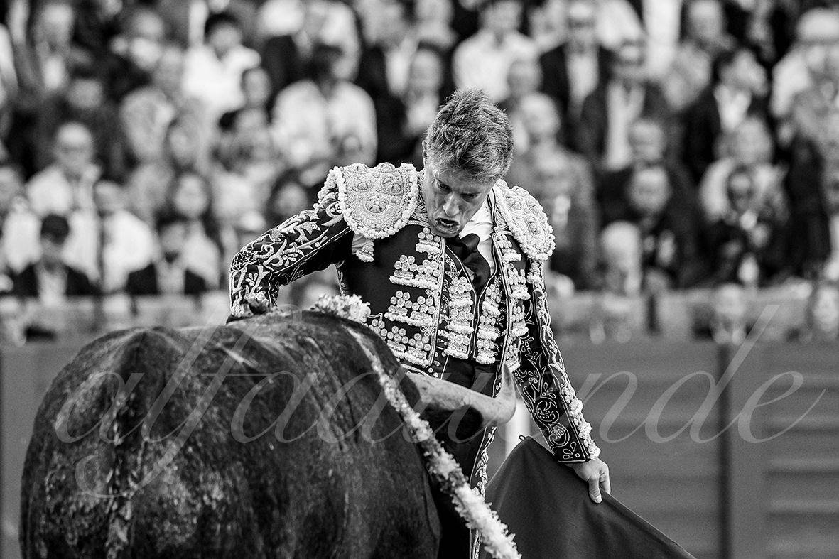 20250503 sevilla 010 fd