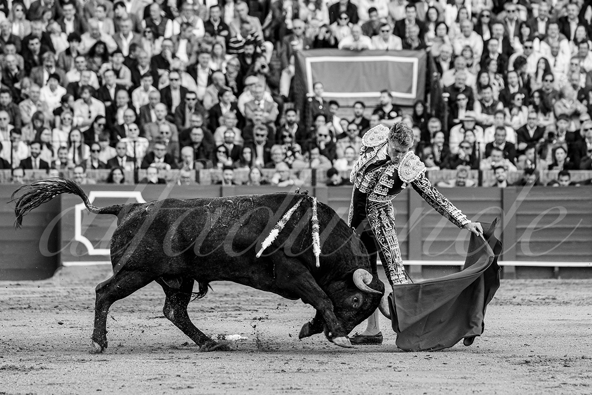 20250503 sevilla 009 fd