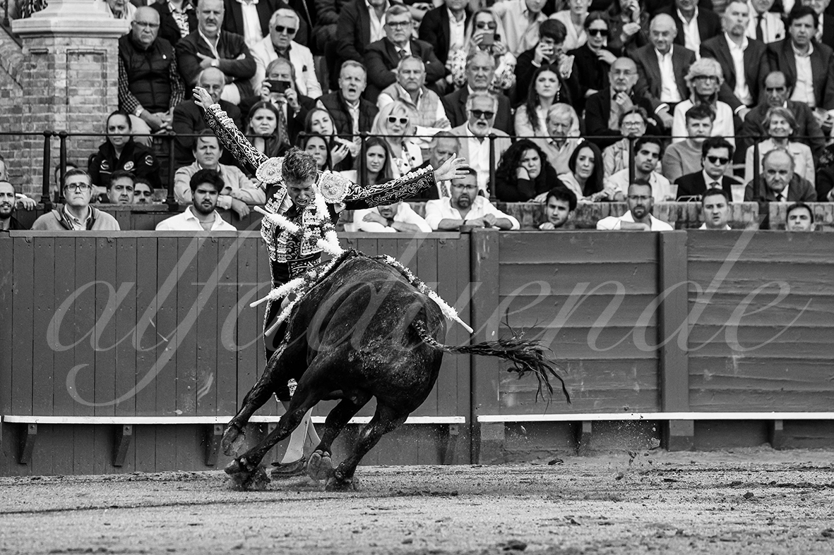 20250503 sevilla 008 fd