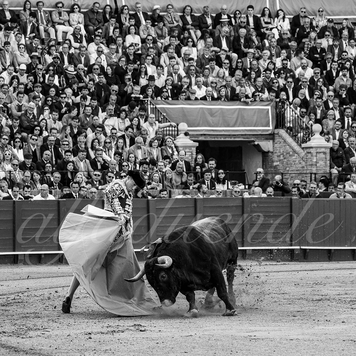 20250503 sevilla 007 fd