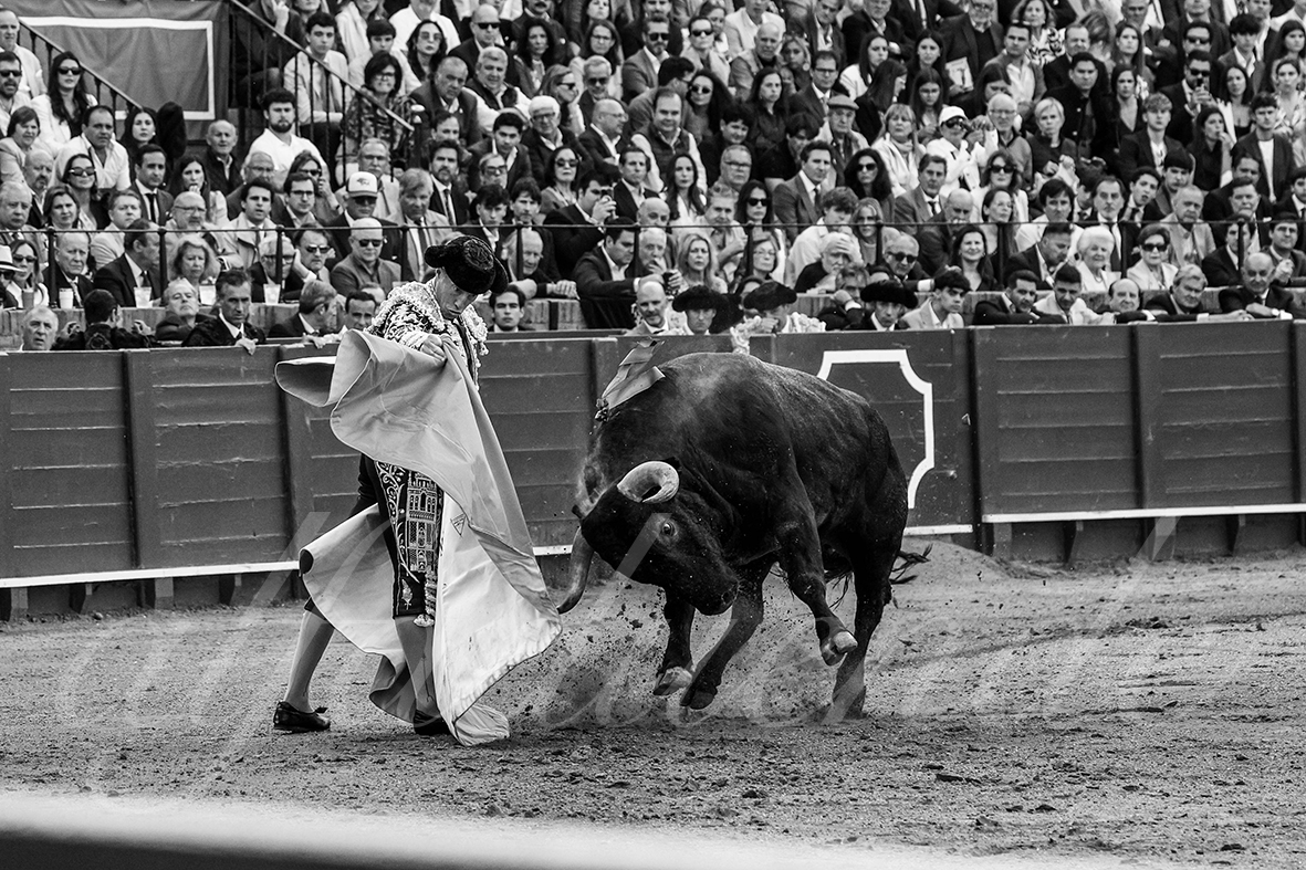 20250503 sevilla 006 fd