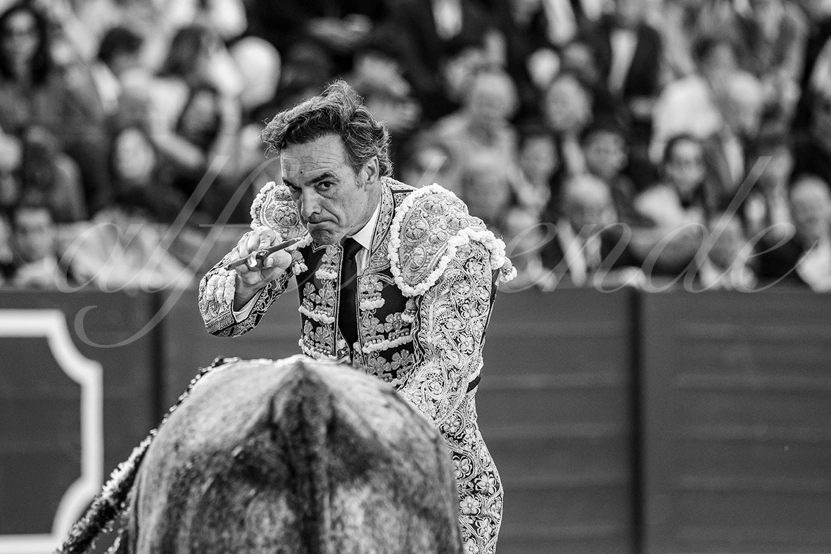 20250503 sevilla 005 fd