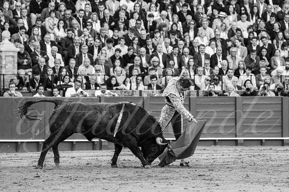 20250503 sevilla 004 fd