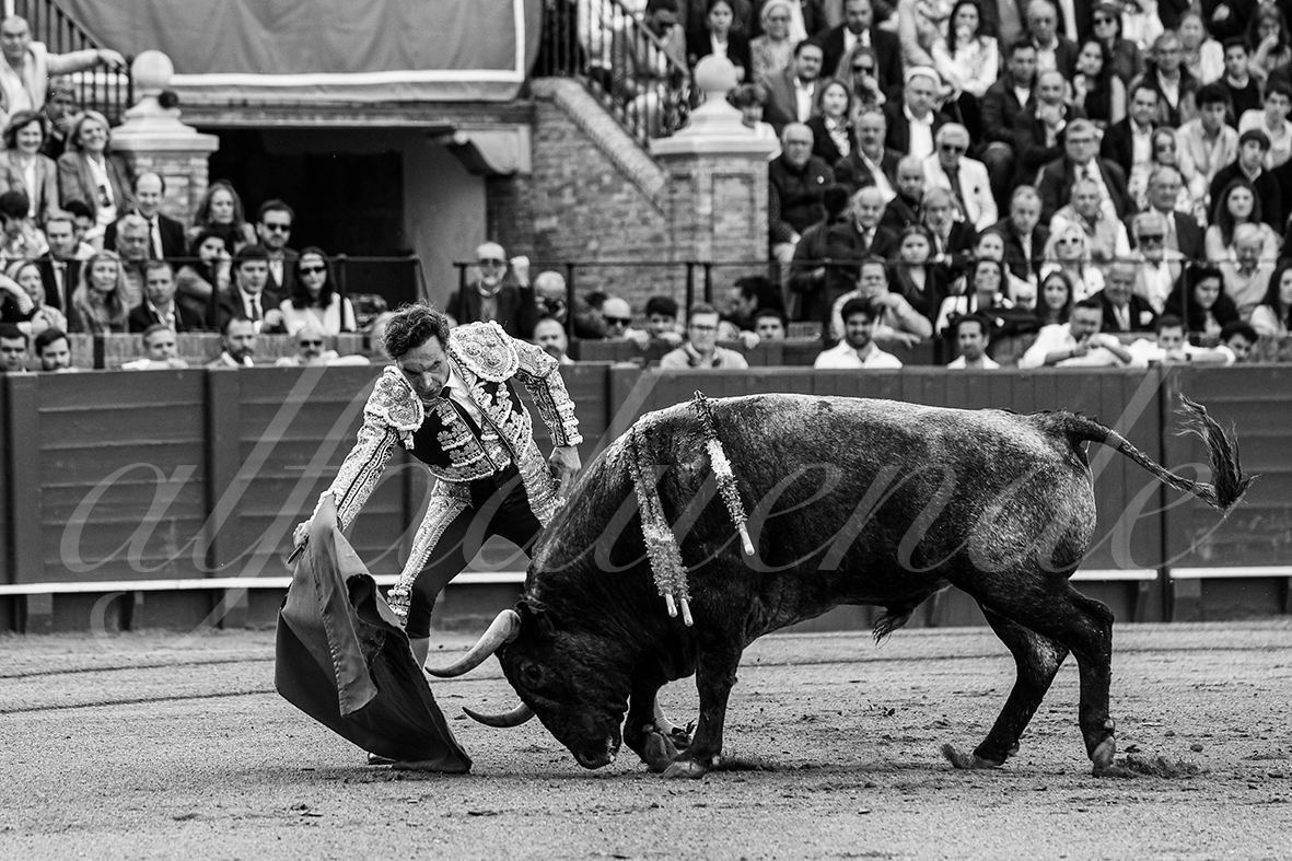 20250503 sevilla 003 fd