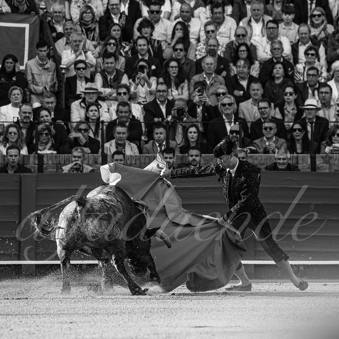 20250503 sevilla 002 fd