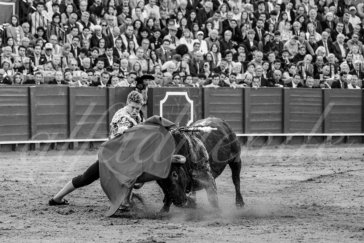 20250503 sevilla 020 fd