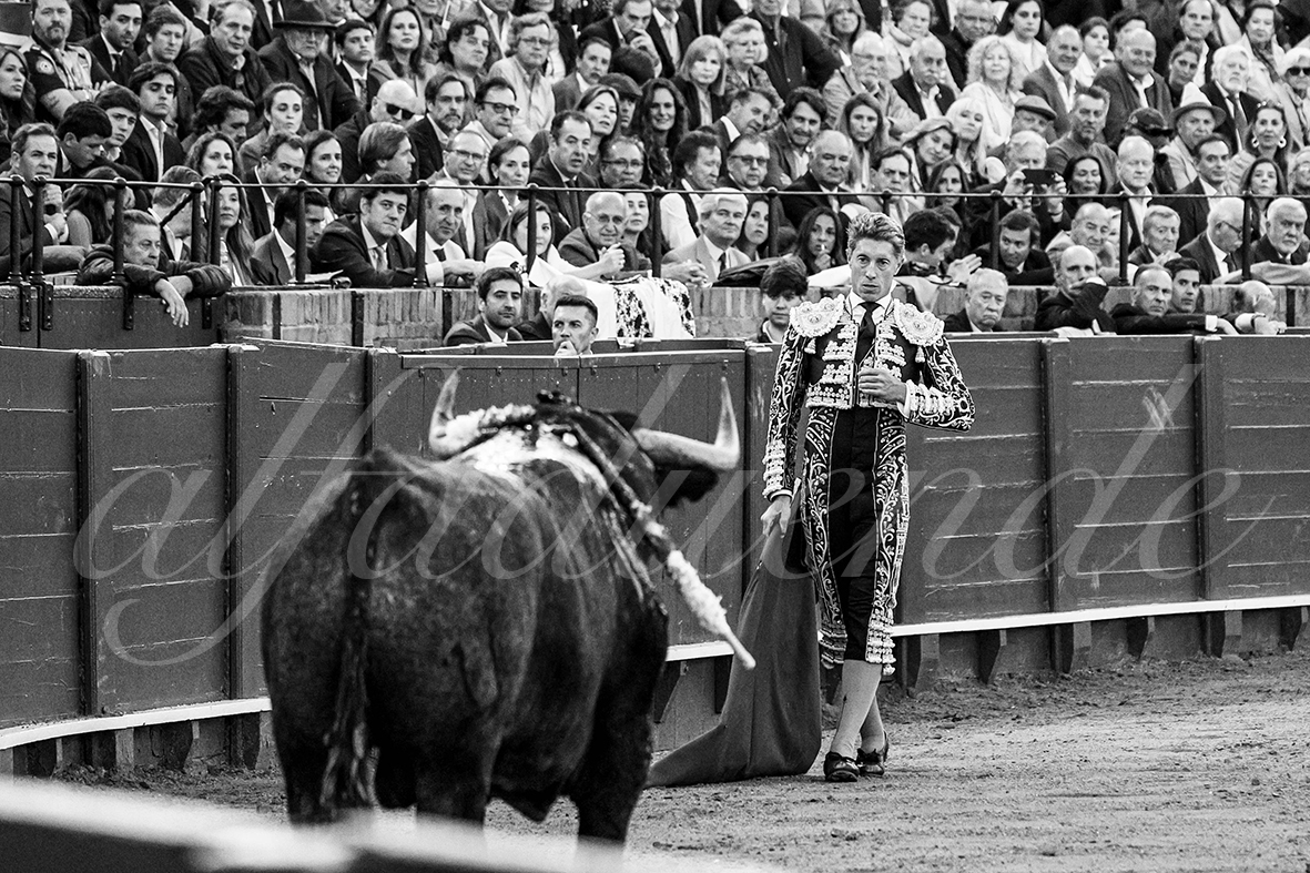 20250503 sevilla 019 fd