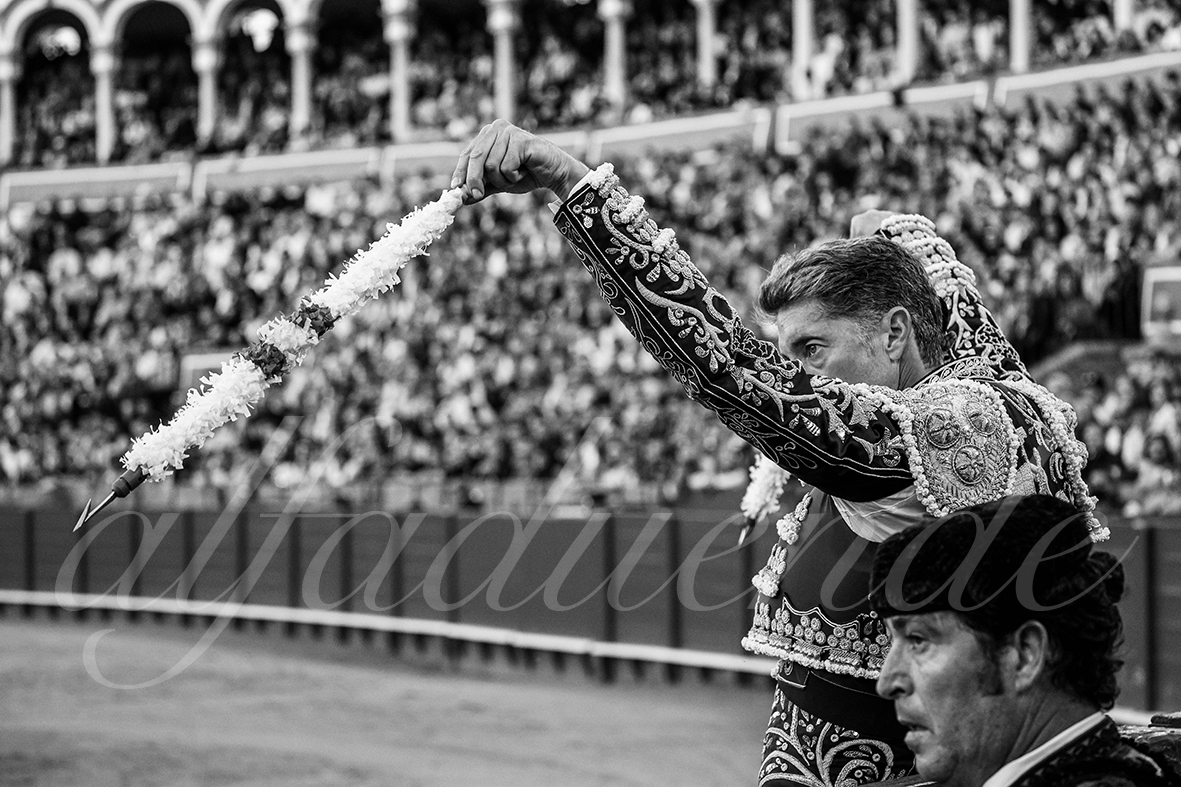 20250503 sevilla 018 fd