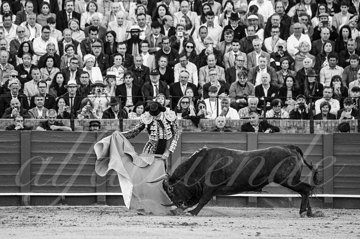 20250503 sevilla 017 fd