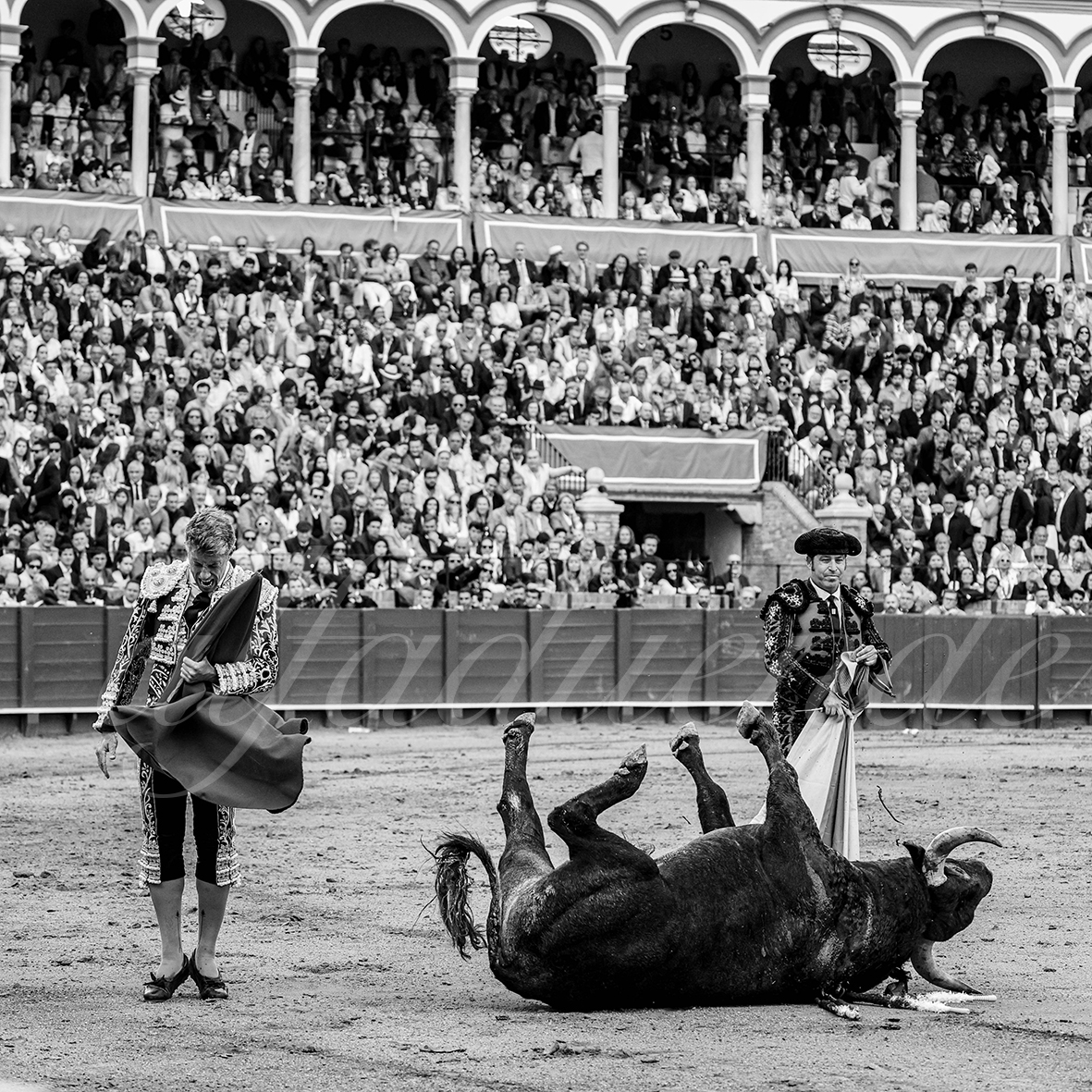 20250503 sevilla 016 fd