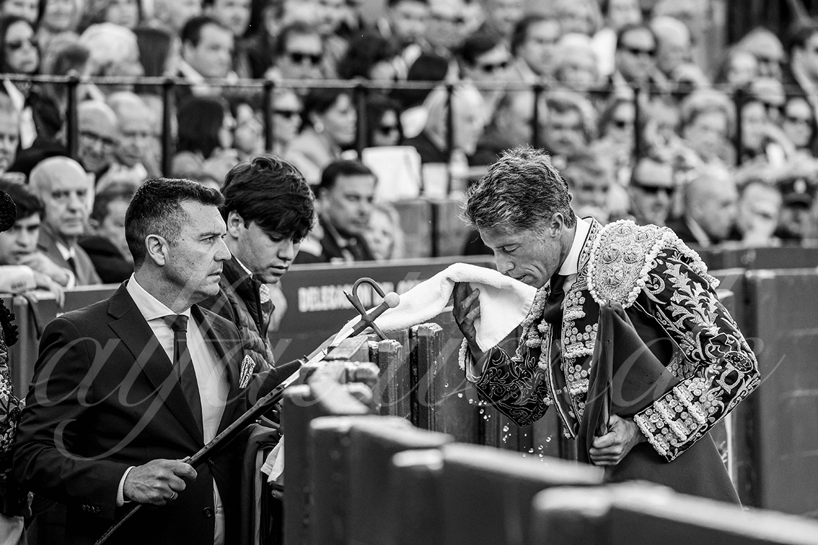 20250503 sevilla 015 fd