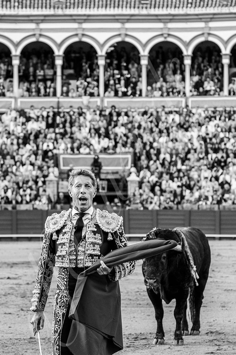 20250503 sevilla 014 fd