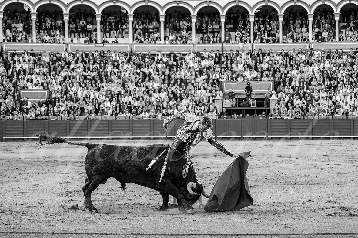 20250503 sevilla 013 fd