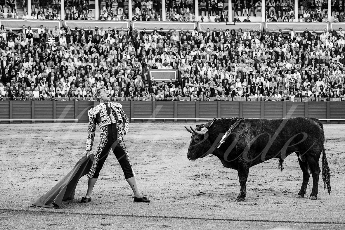 20250503 sevilla 012 fd