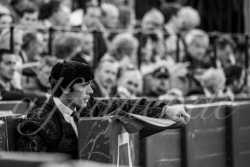 20250503 sevilla cuadrillas 001 copie