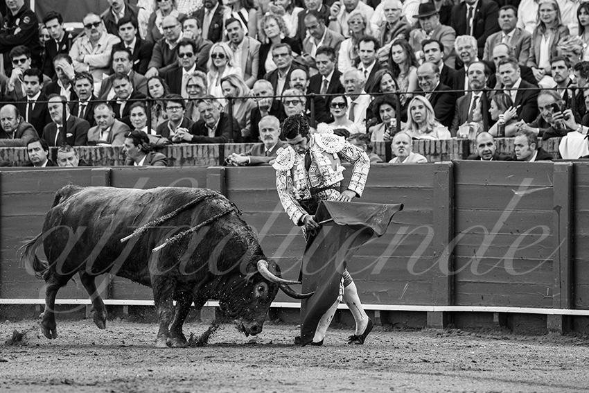 20250505 sevilla 011 fd