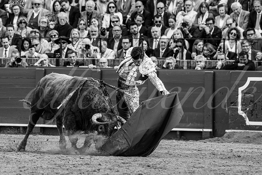 20250505 sevilla 010 fd