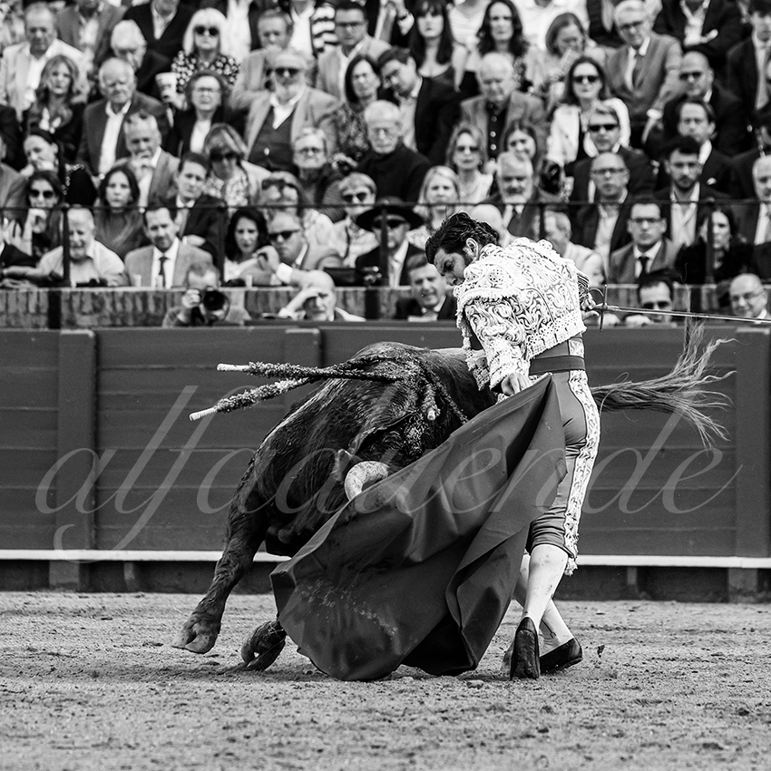 20250505 sevilla 009 fd