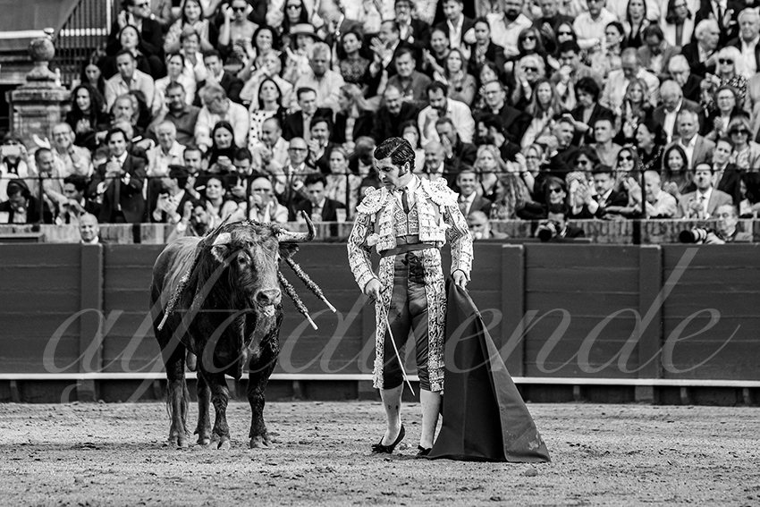 20250505 sevilla 008 fd