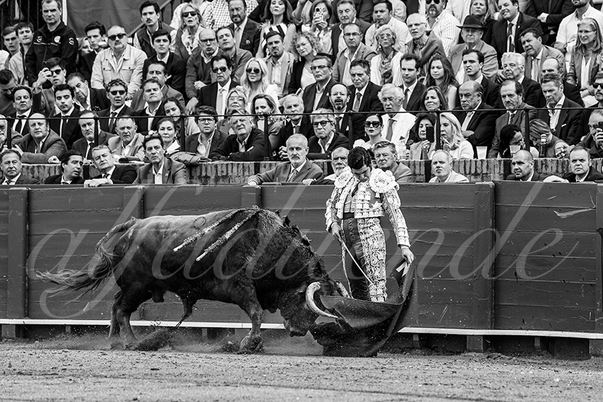 20250505 sevilla 007 fd