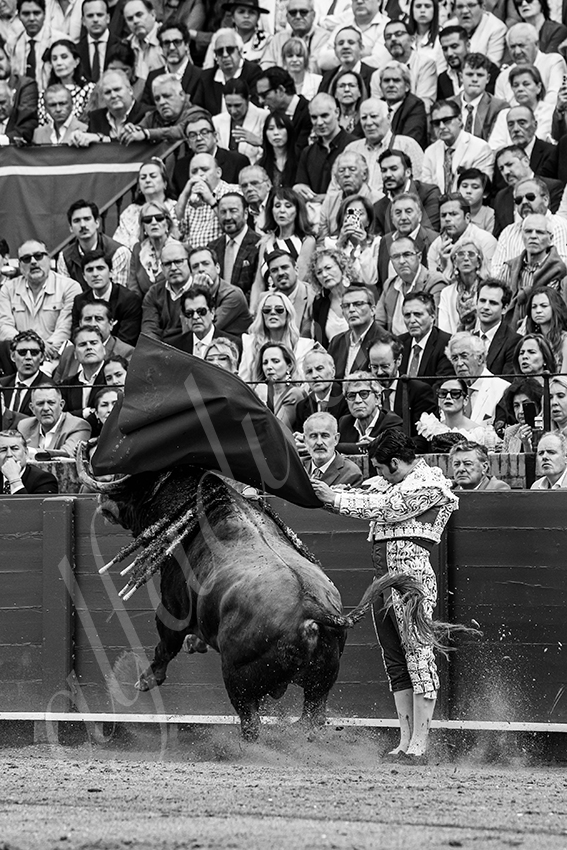 20250505 sevilla 006 fd