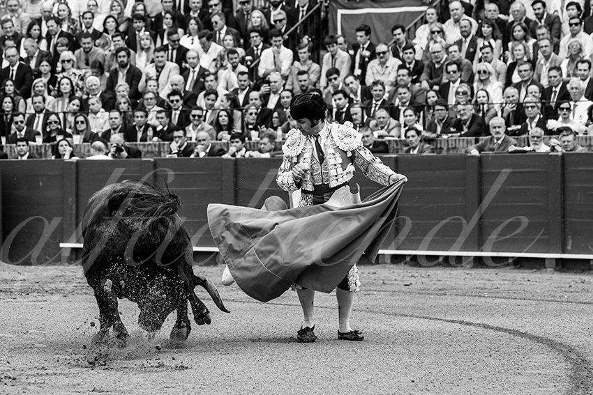 20250505 sevilla 005 fd